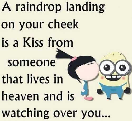 Funny Minions Memes Clean Raindrop