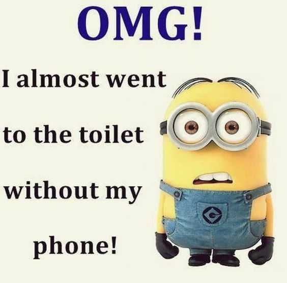 Funny Minions Memes Clean Toilet