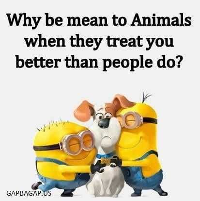 Minion Treat Animals