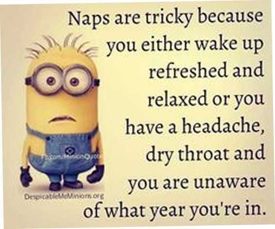 Funny Minions Memes Clean Naps