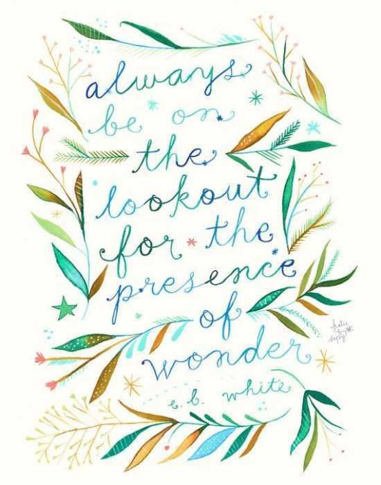 Inspirational Life Quotes Wonder