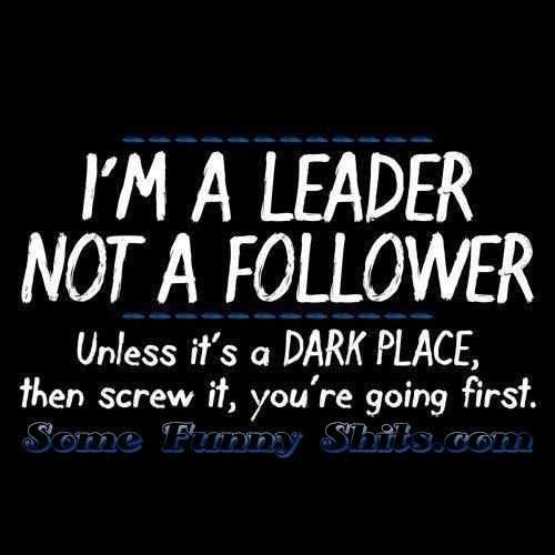 Funny Quotes About Life In General Can'T Always Be A Leader