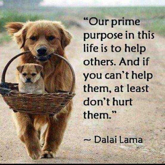 Inspirational Life Quotes Help Others