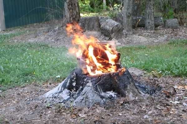 How To Remove A Tree Stump By Fire And Charcoal