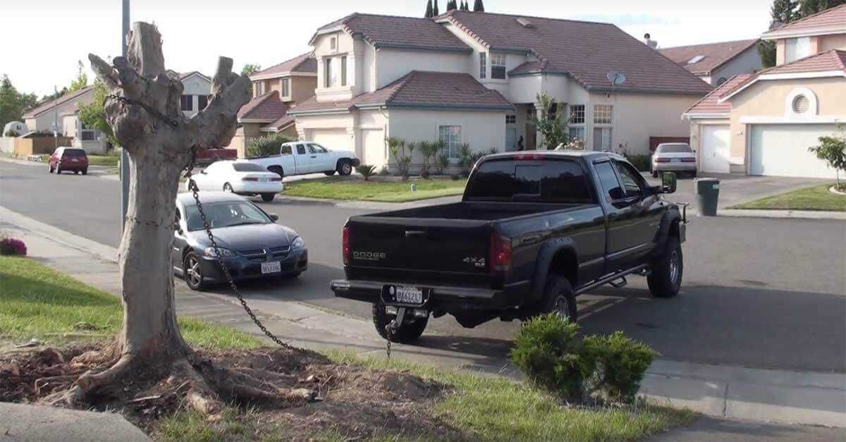 Mb 4X4 Vs Tree Yh1
