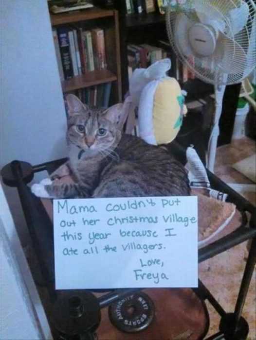Cat Shaming Pics  Ate All Christmas Village Villagers