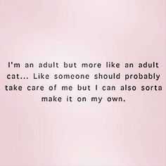Funny Quotes About Life Adult