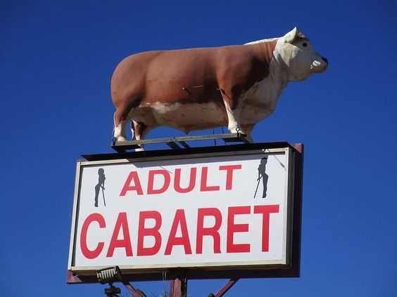 Funny Signs Adult Cabaret