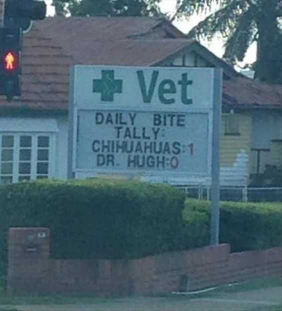 Funny Signs Meme Vet