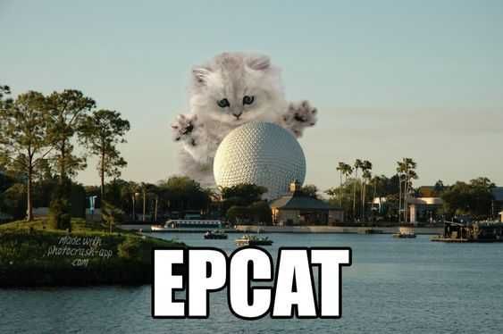 Disney Memes Funny Epcat
