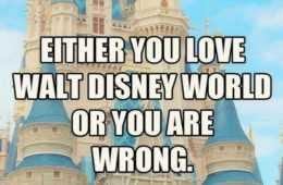 Funny Disney World Wrong