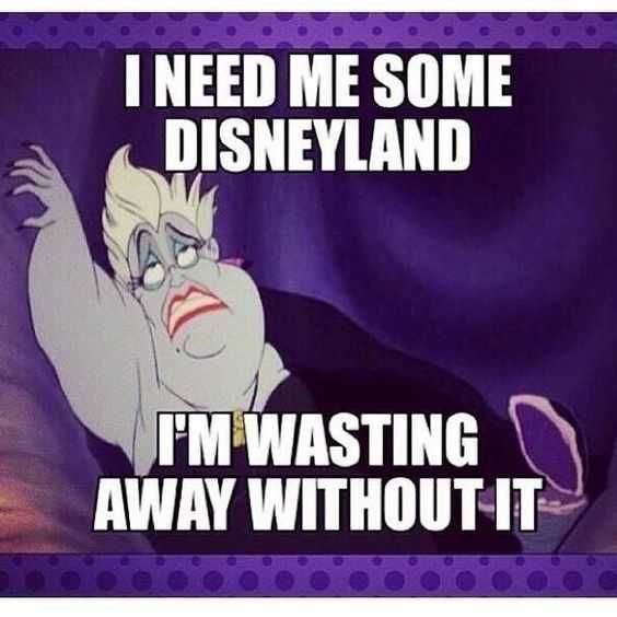 Disney Memes Funny Need Some Disneyland
