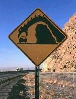 Funny Signs Dragons