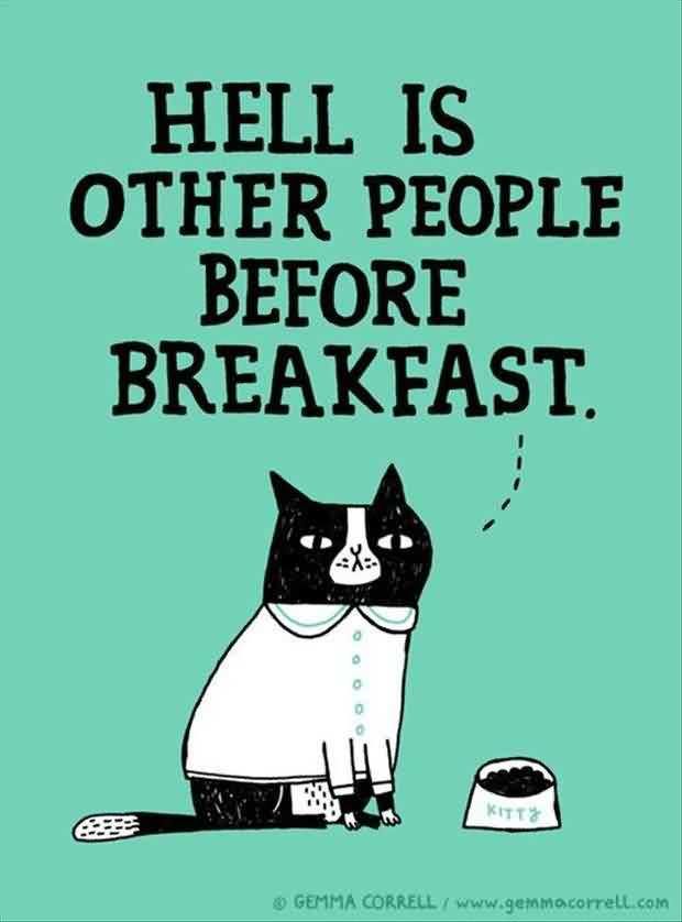 Funny Hilarious Quotes