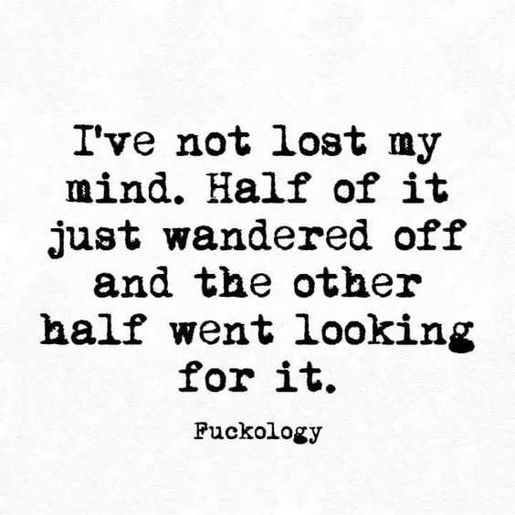 Hilarious Snarky Quotes