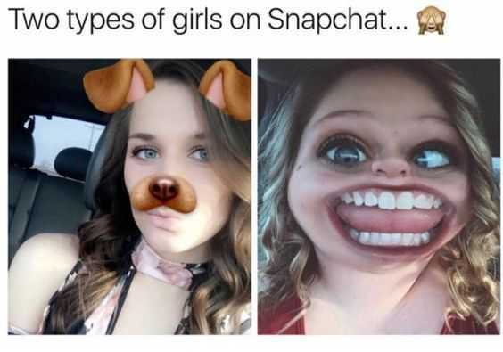 Funny Snapchat Dog