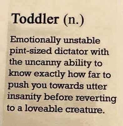 Funny Quote About Life Toddler