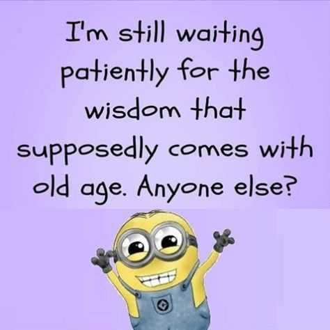 Funny Minion Quotes About Life Wisdom