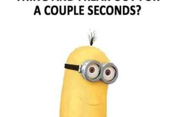 Minion Dont Know