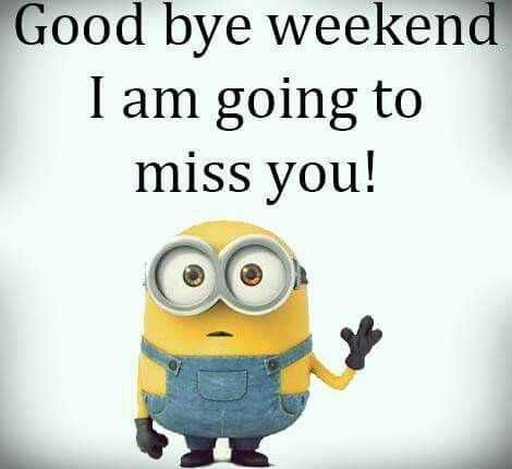 Hilarious Minions Quotes With Attitude Weekend