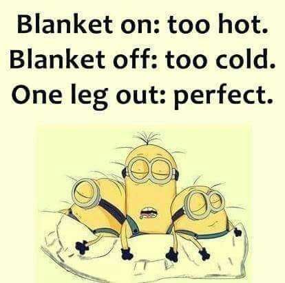 Hilarious Minion Quotes With Attitude Blanket Struggles