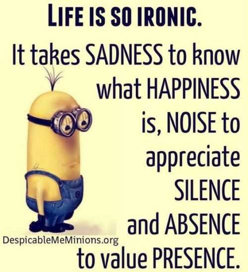 Great Minion Quotes Life'S Irony