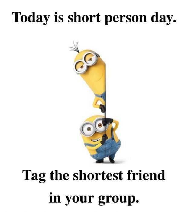 Great Minion Quotes Short Person