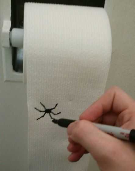 Funny April Fool'S Prank Ideas Spider On Toilet Paper
