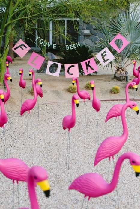 Funny April Fools Joke Ideas Flocked By Flamingos