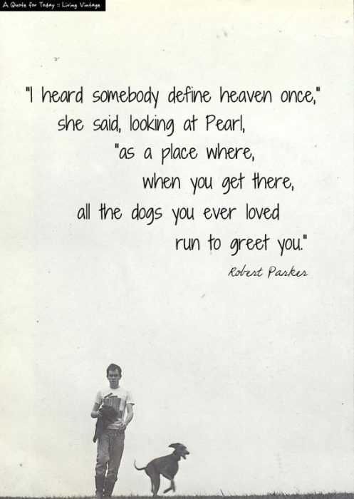 Dogs Lover Quotes Heaven