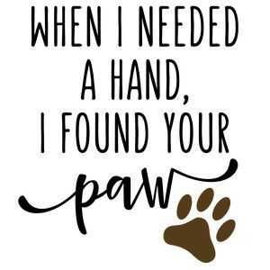 Animal Lover Quotes Paw