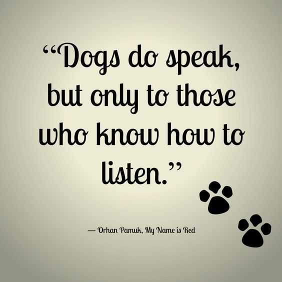 Dog Lover Quotes Dog Speak
