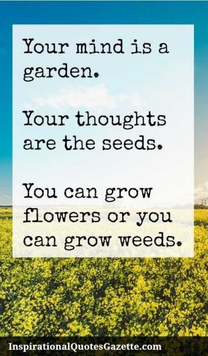New Inspirational Quotes Mind Garden