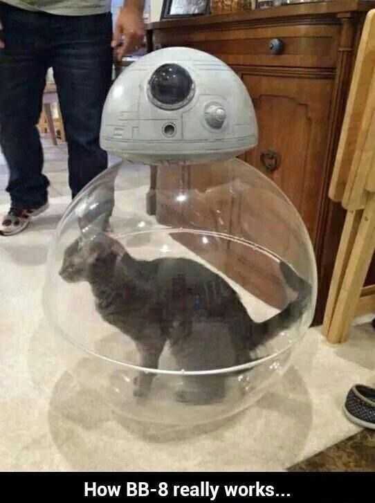 Star Wars Memes Cat Powered Bb8