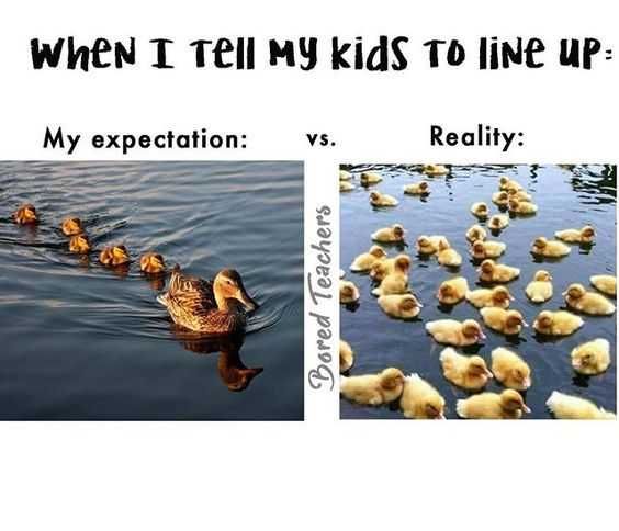 Funny Teacher Meme Lining Up In Funnel Formation