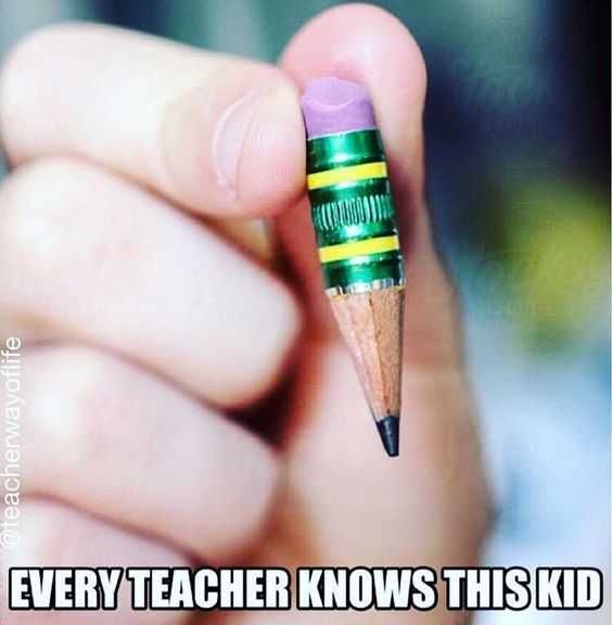 Hilarious Funny Teacher Memes Using Every Last Inch