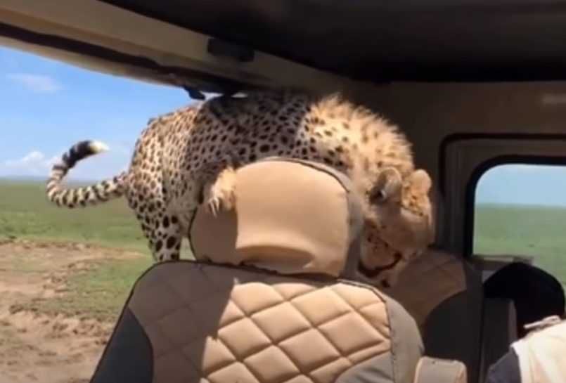 10 The Backseat
