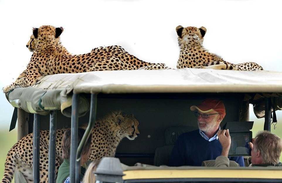3
