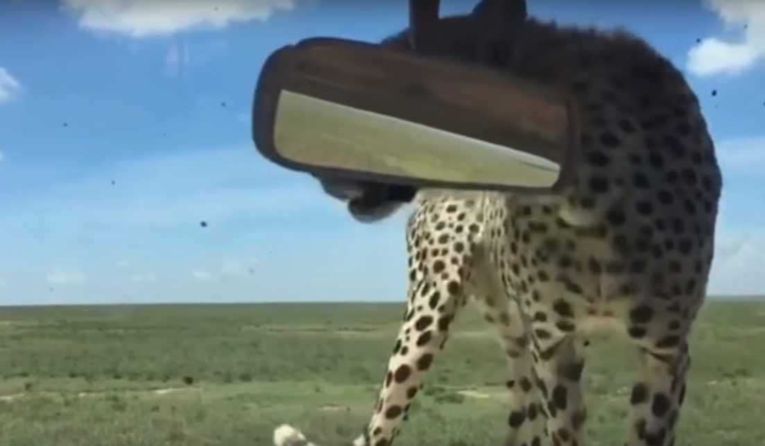 7 Distraction
