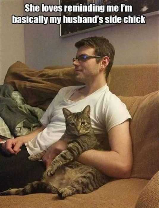 30 Funny Animal Pictures And Memes Side Chick