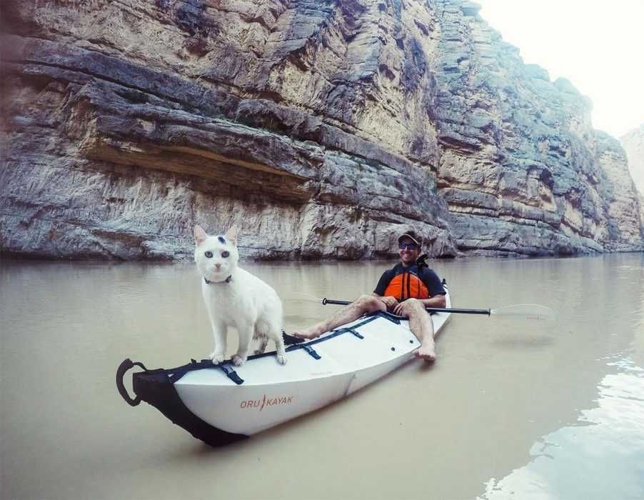 Photogenic Cat Kayaking