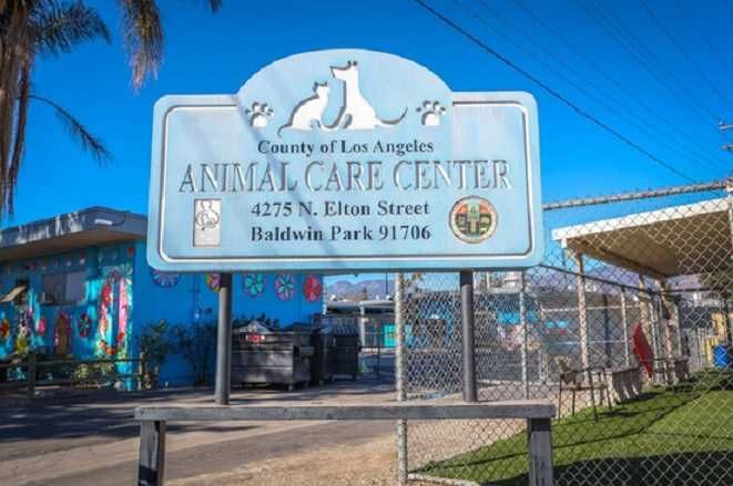 Animalcare.lacounty.gov