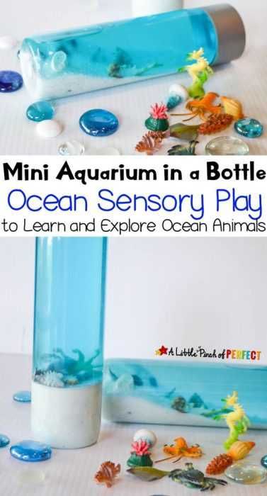 Sensory Bottles Project