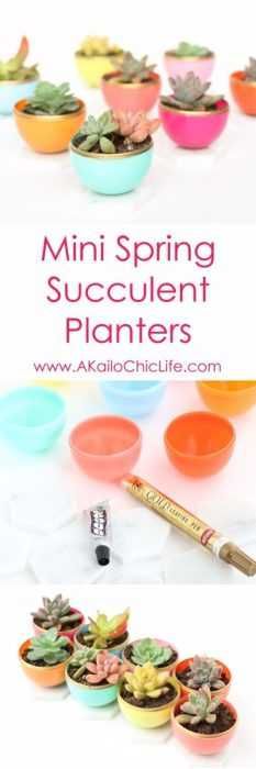 Diy Spring Project Succulent Planter