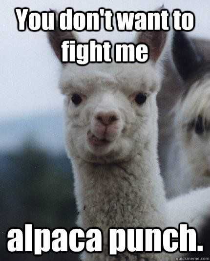 24 Hilarious Animal Pictures With Captions Them Fightin' Words