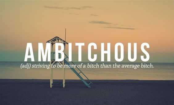 Funny Quotes And Sayings About Life Ambitchous
