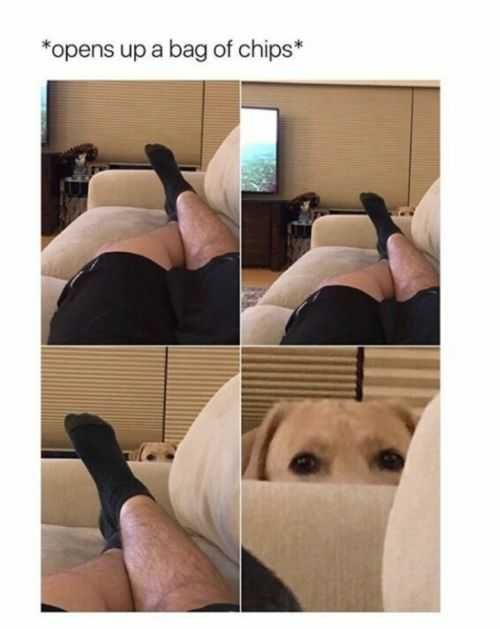 Funny Memes Pictures Chip Bag Opening Detector