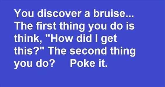 Funny Quotes And Sayings About Life Bruise