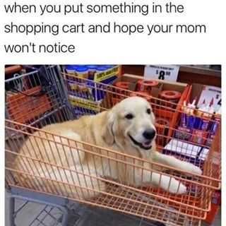 Funny Memes Pictures Can We Buy Him