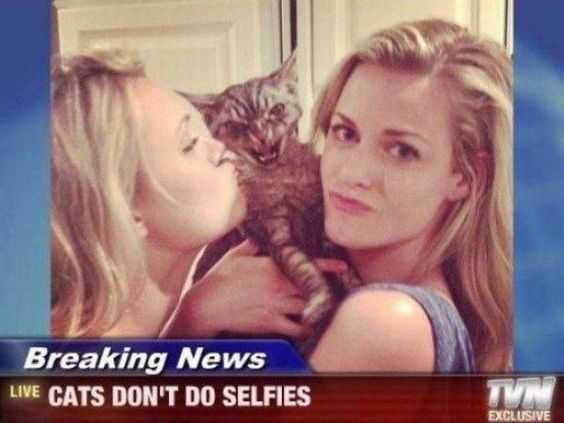 Hilarious Funny Pictures The Horror